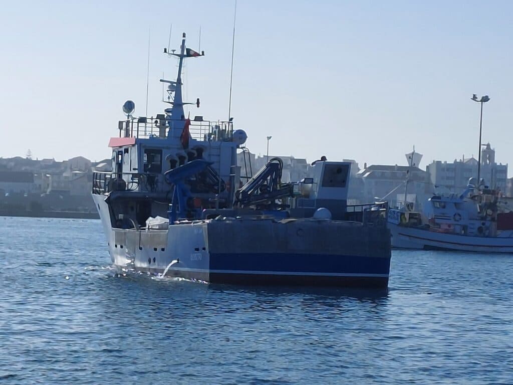 Barcos (SEARIBS / Workboats)
